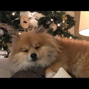 Meet your Posher, Andy